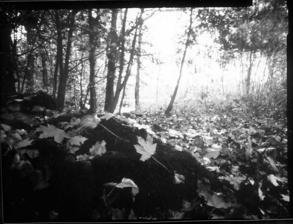 131024-dirkP45-dvoj-02-a-1000