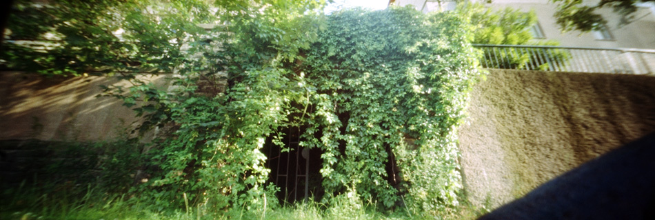 130725-k70can-07m