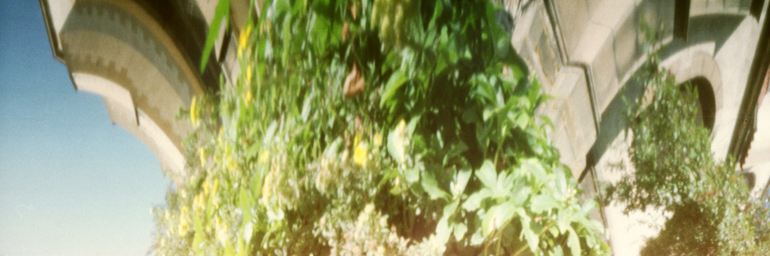 2016_08_29_A02-04um
