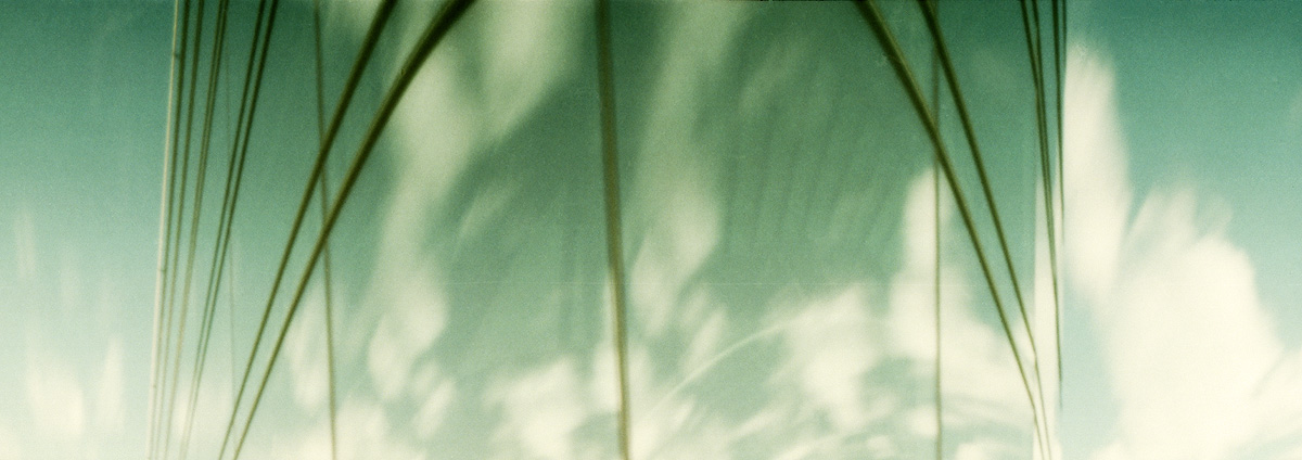 2016_08_29_A02-16um