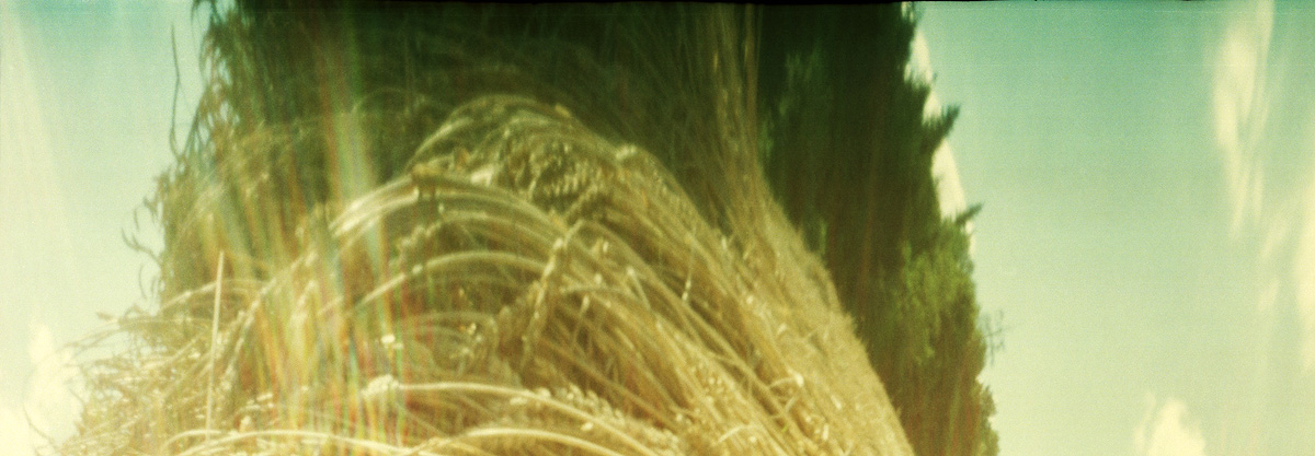 2016_08_29_A02-19um